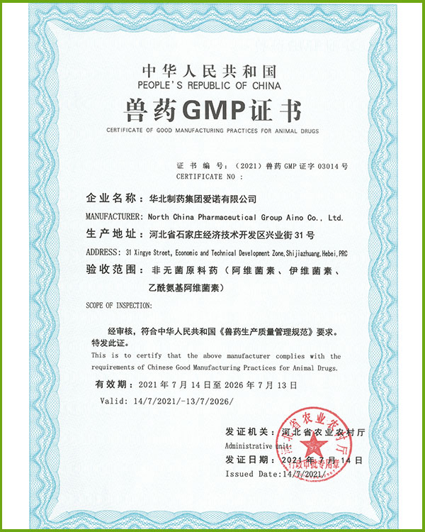 GMP