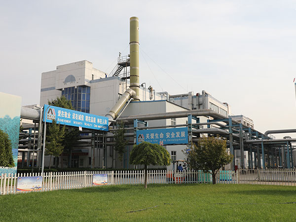 爱诺精神+提炼