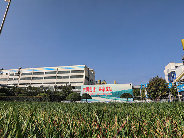 共同创造