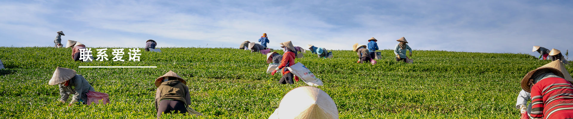 North China Pharmaceutical Group Aino Co., Ltd.